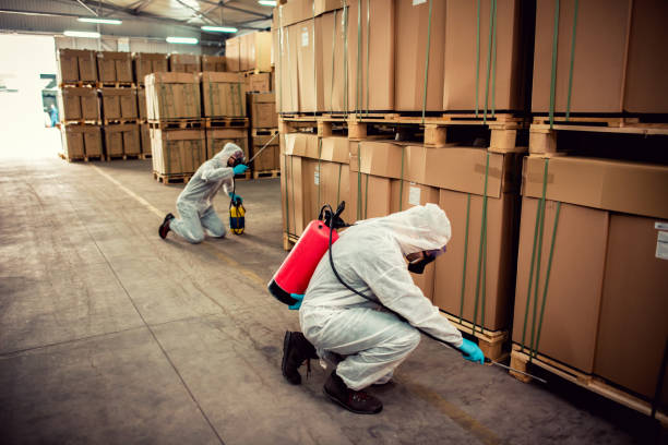 Best Emergency Pest Control  in Lake City, SC