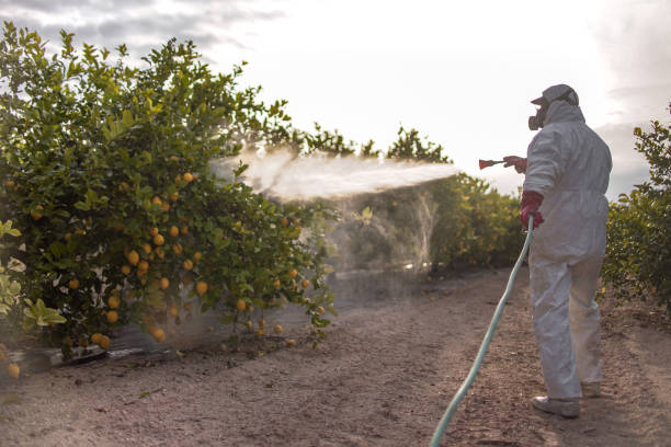 Best Best Pest Control Companies  in Lake City, SC
