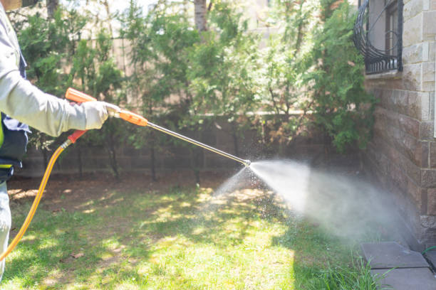 Best Pest Removal Services  in Lake City, SC