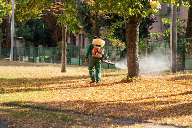 Trusted Lake City, SC Pest Control Experts