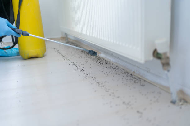 Best Pest Control Treatment  in Lake City, SC